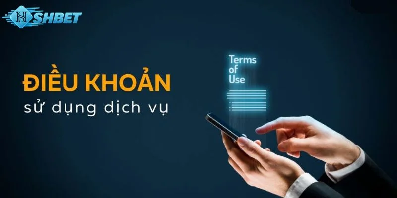 Điều khoản sử dụng